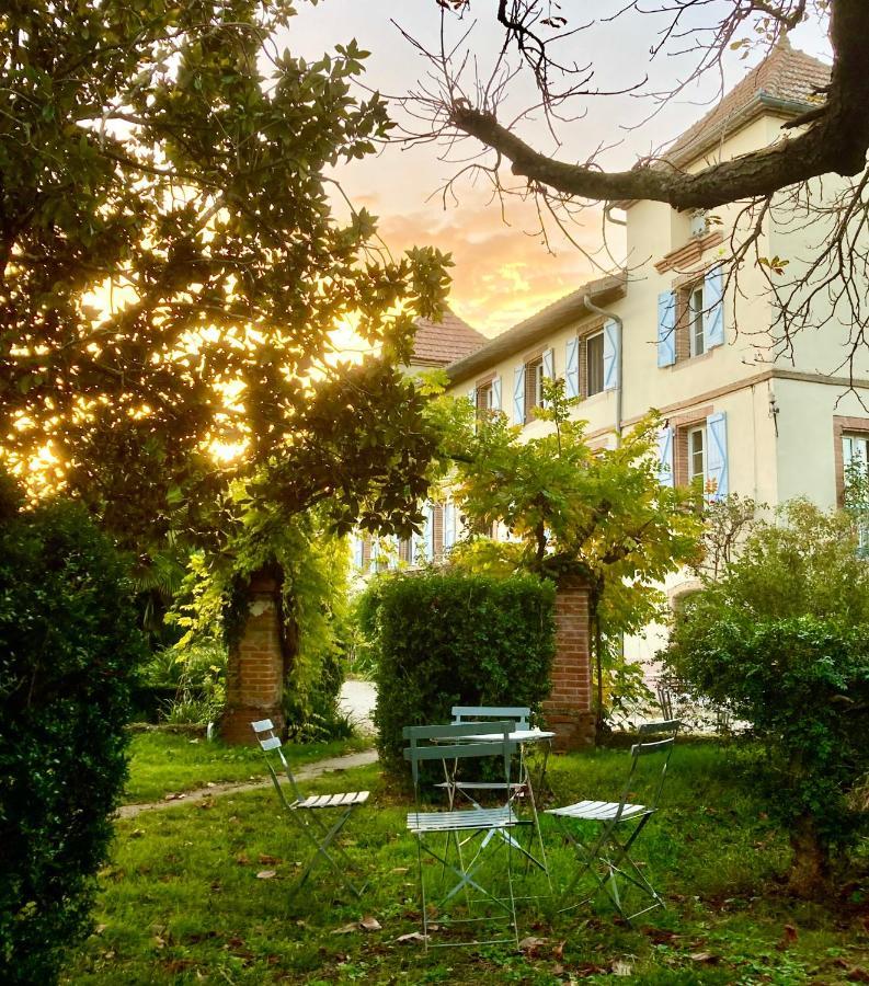 Domaine De Menerque - Petit Chateau Avec Piscine Lisle-sur-Tarn Exterior photo