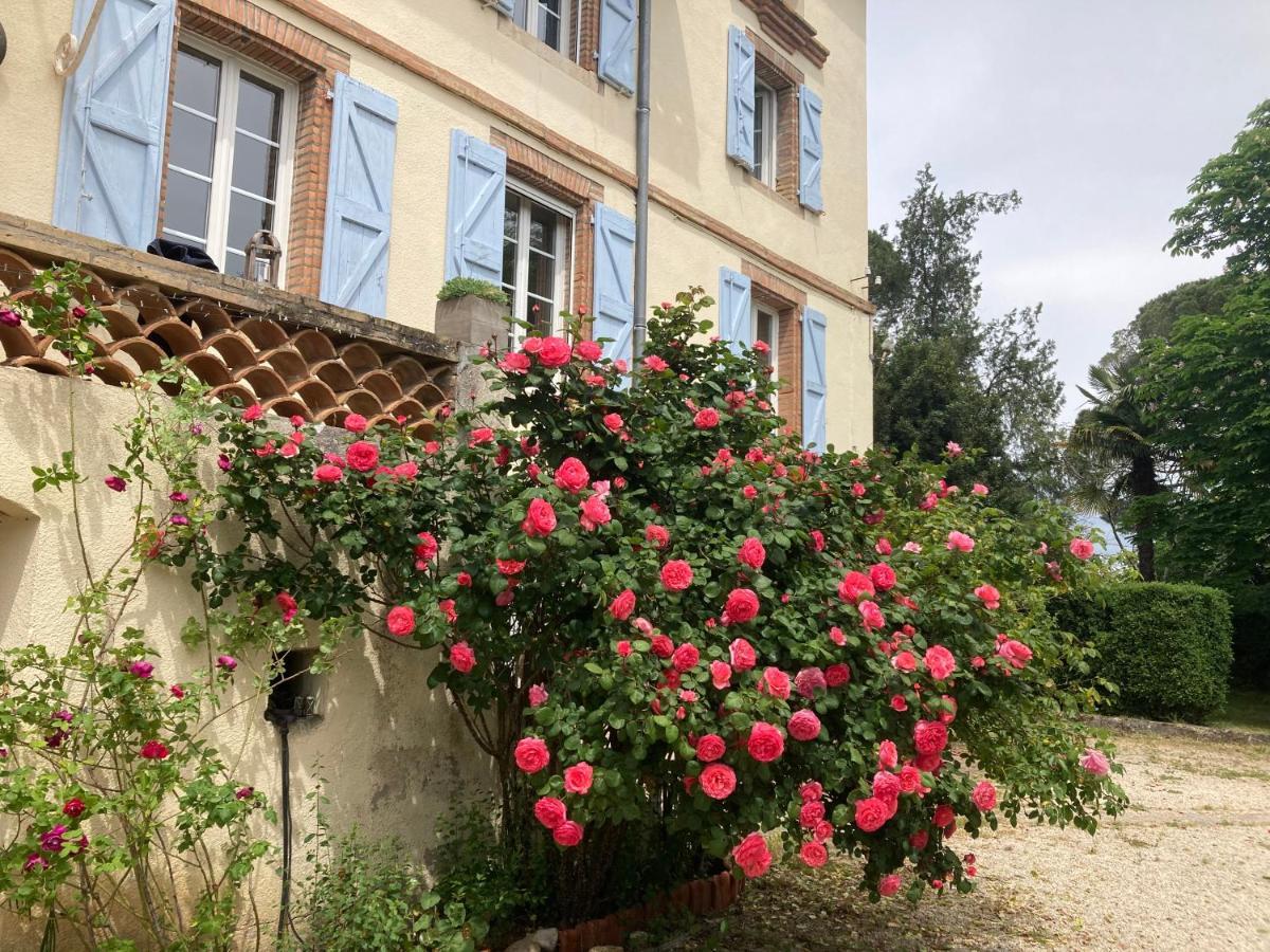 Domaine De Menerque - Petit Chateau Avec Piscine Lisle-sur-Tarn Exterior photo