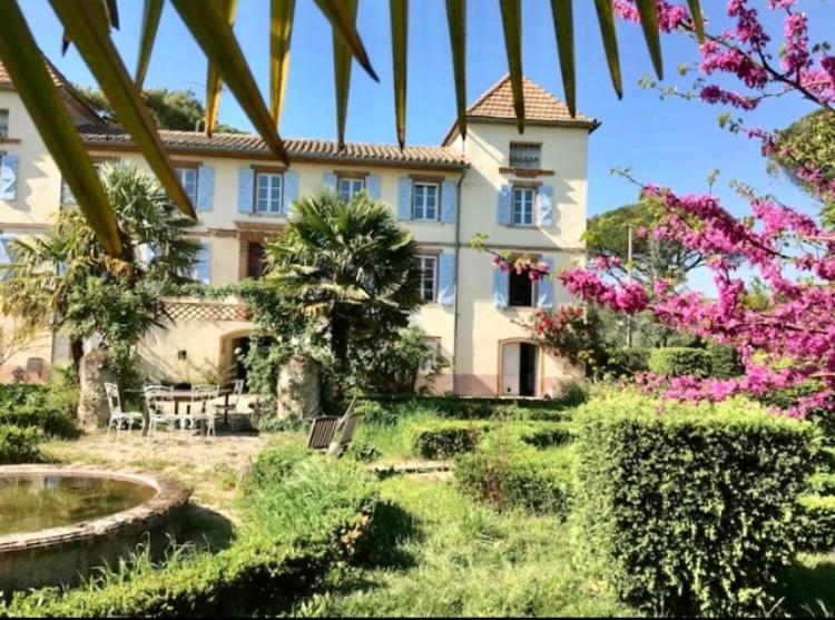 Domaine De Menerque - Petit Chateau Avec Piscine Lisle-sur-Tarn Exterior photo